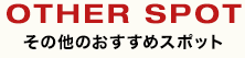その他のおすすめスポット