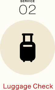 luggage check